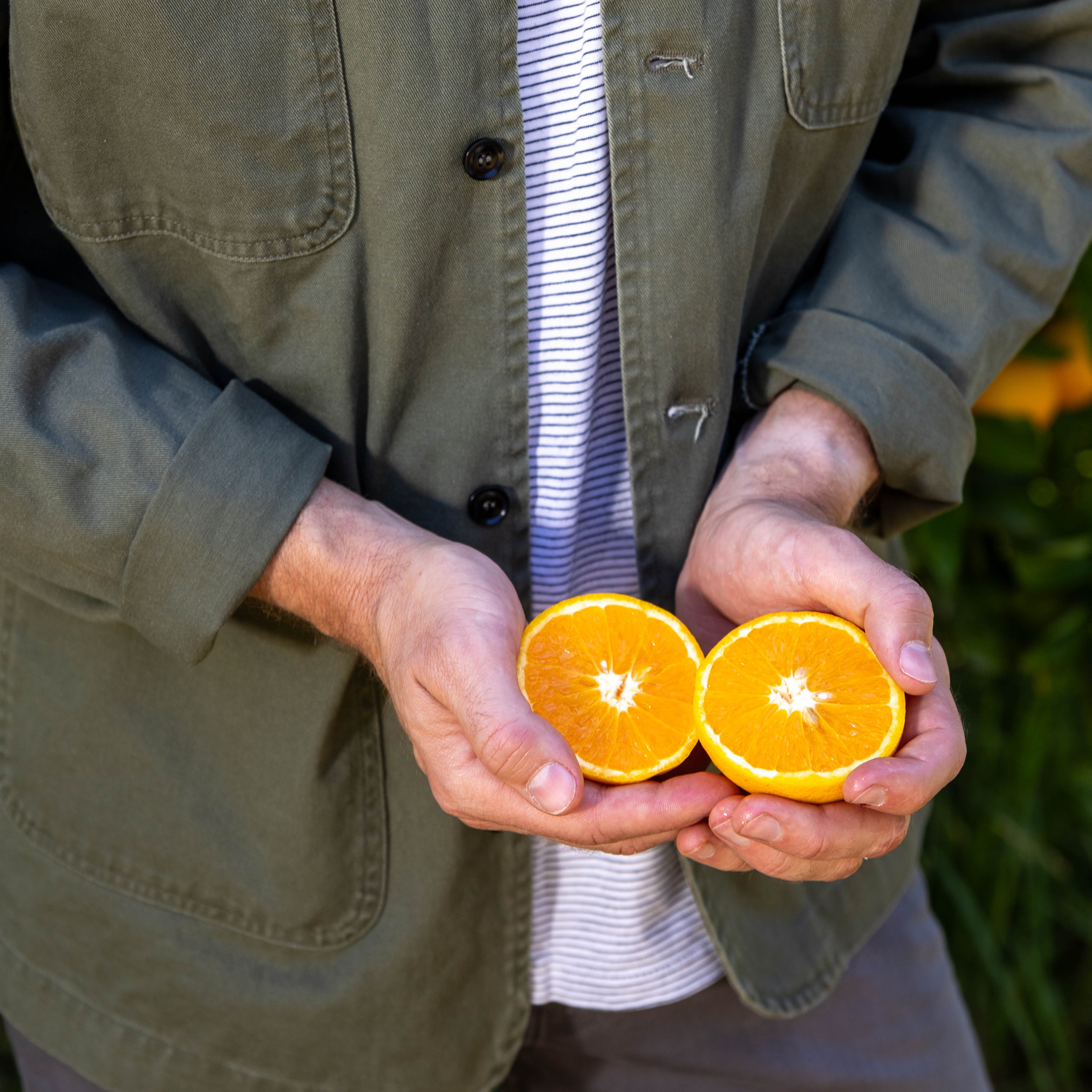 Spindrift Chore Coat