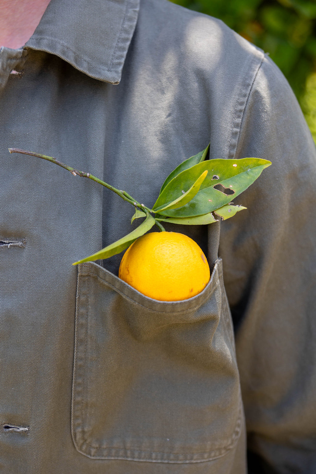 Spindrift Chore Coat